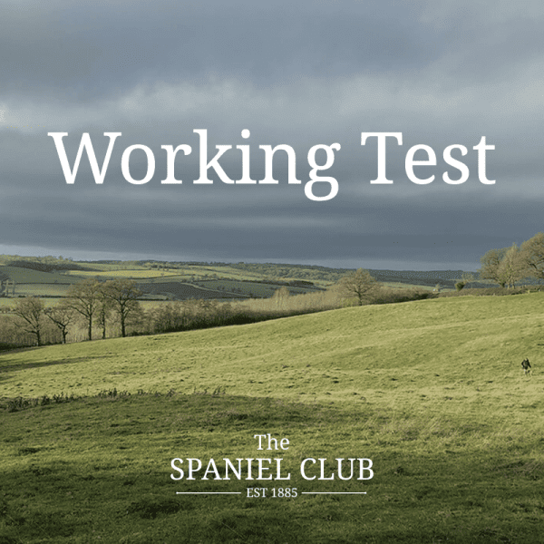 Working Test 29th March 2025